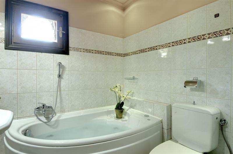 Iatrou Guesthouse Portariá Szoba fotó