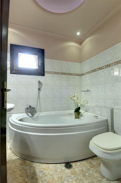 Iatrou Guesthouse Portariá Szoba fotó