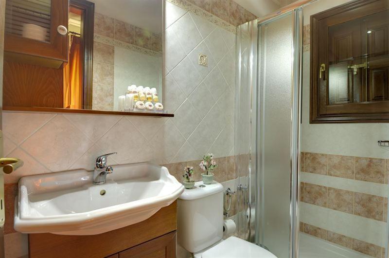 Iatrou Guesthouse Portariá Szoba fotó